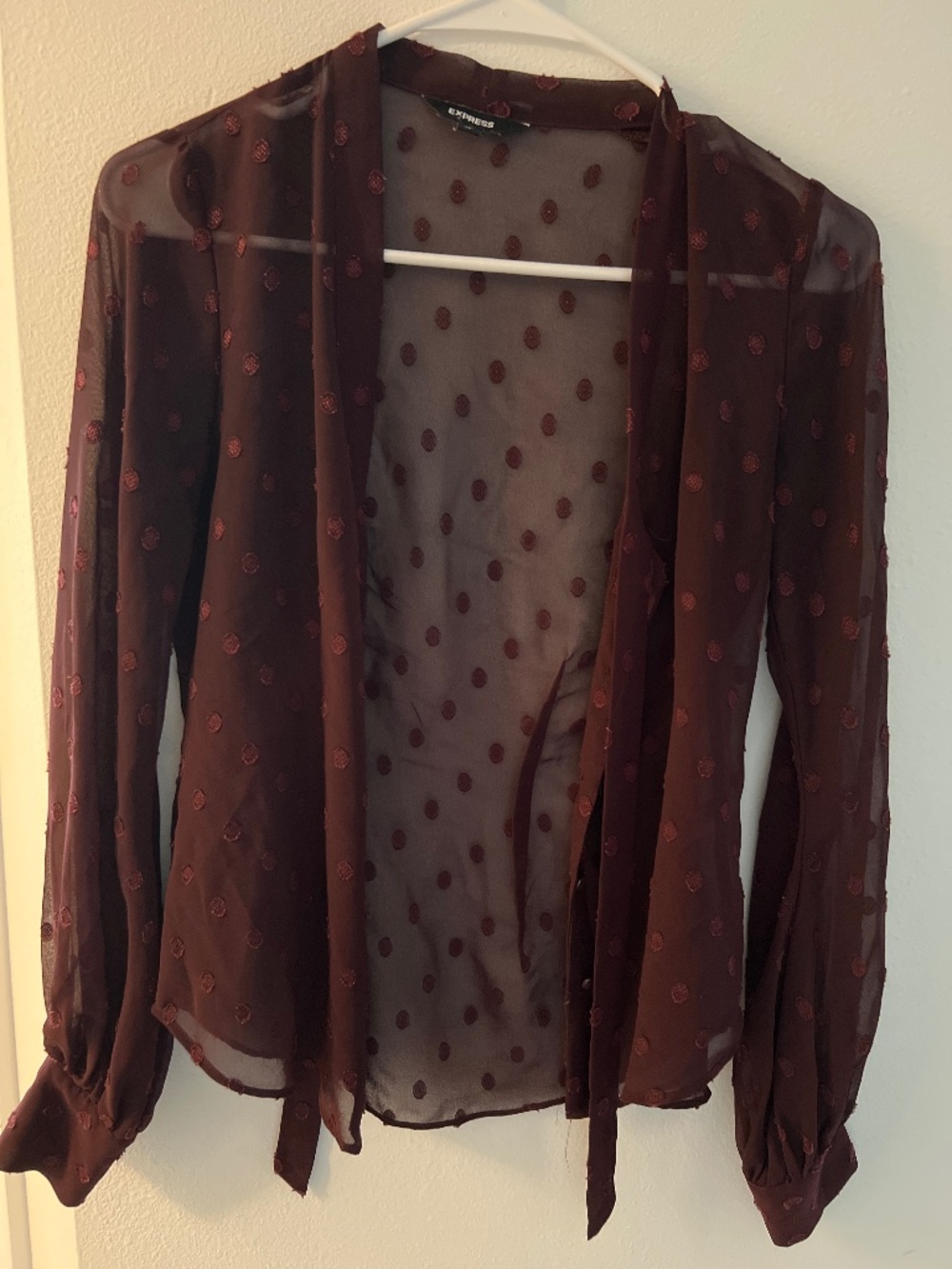 Sheer Merlot Express Long Sleeve